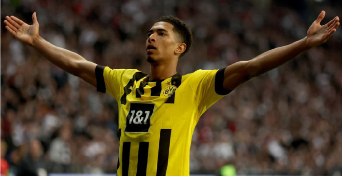 教练都将拥 教练都将拥