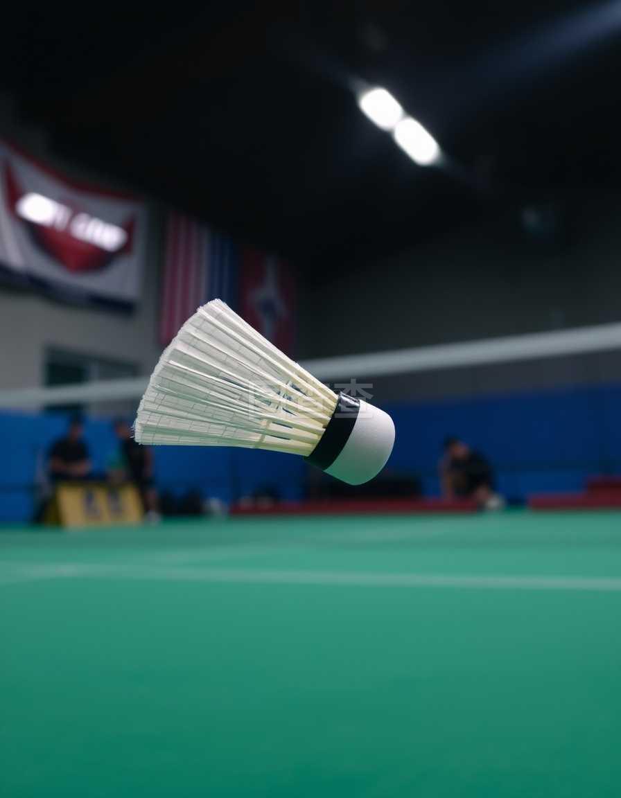 仅点燃了转 仅点燃了转